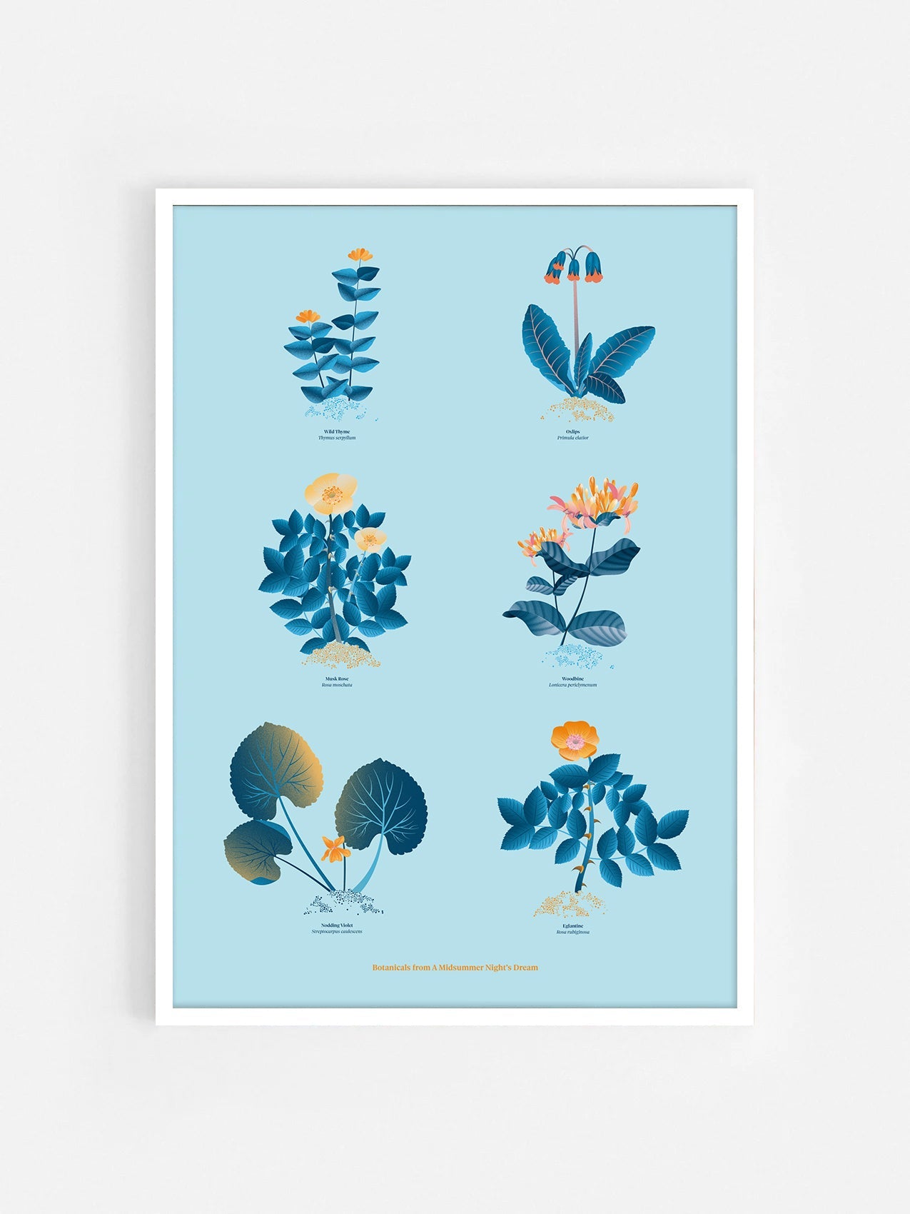 Floral art print 'The Forest's Flora' with blue, orange, and golden hues, inspired by Shakespeare's woodland - White Frame.