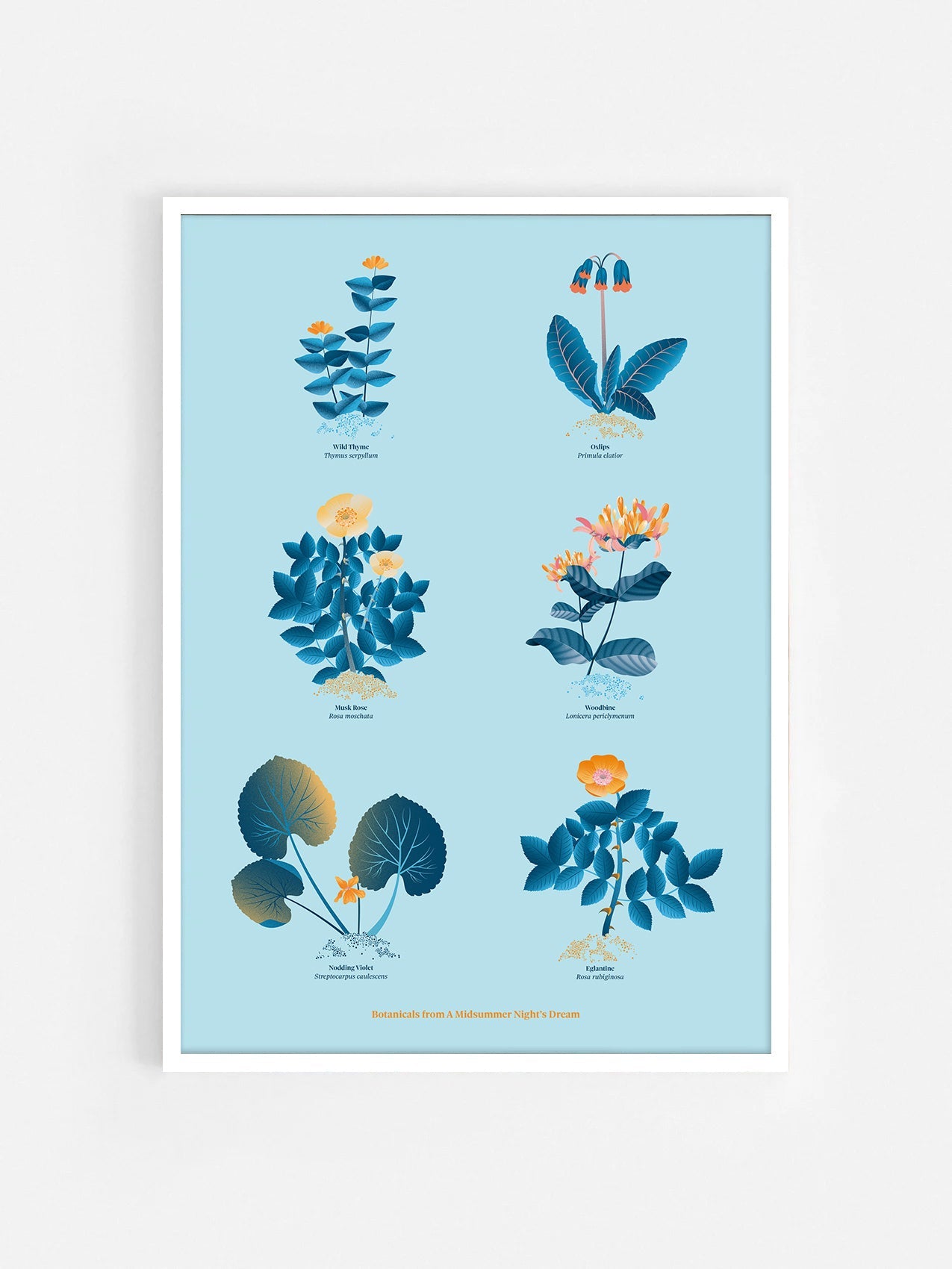 Floral art print 'The Forest's Flora' with blue, orange, and golden hues, inspired by Shakespeare's woodland - White Frame.