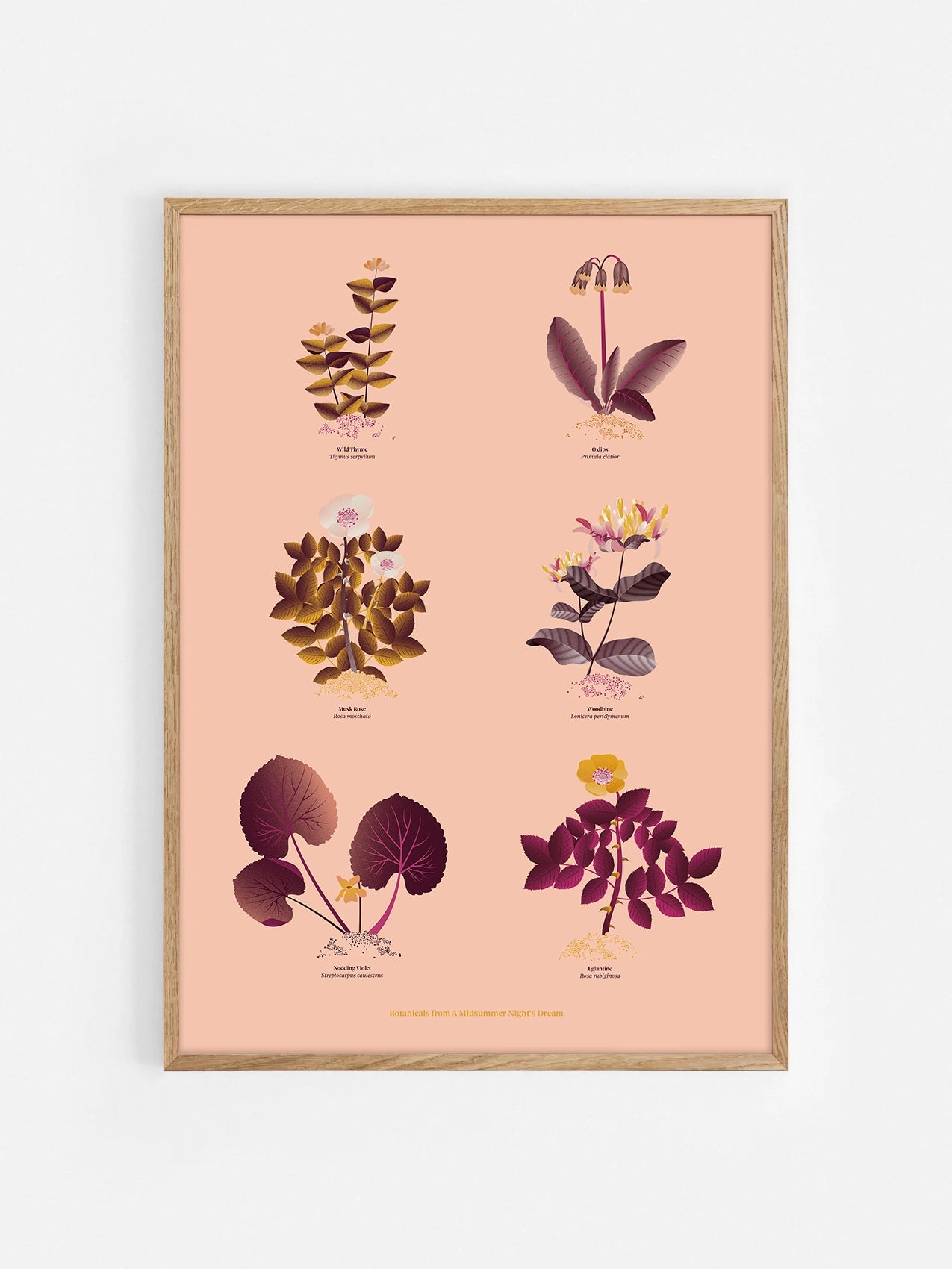 Floral art print 'The Forest's Flora' with aubergine, rose, and orange hues, inspired by Shakespeare's woodland - Oak Frame.