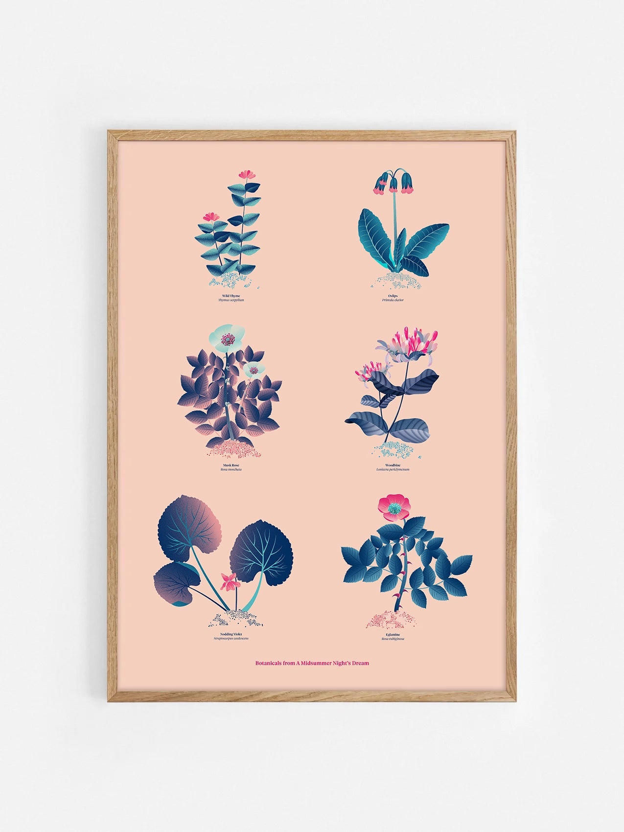 Floral art print 'The Forest's Flora' with ruby red, turquoise, and blue hues, inspired by Shakespeare's woodland - Oak Frame.