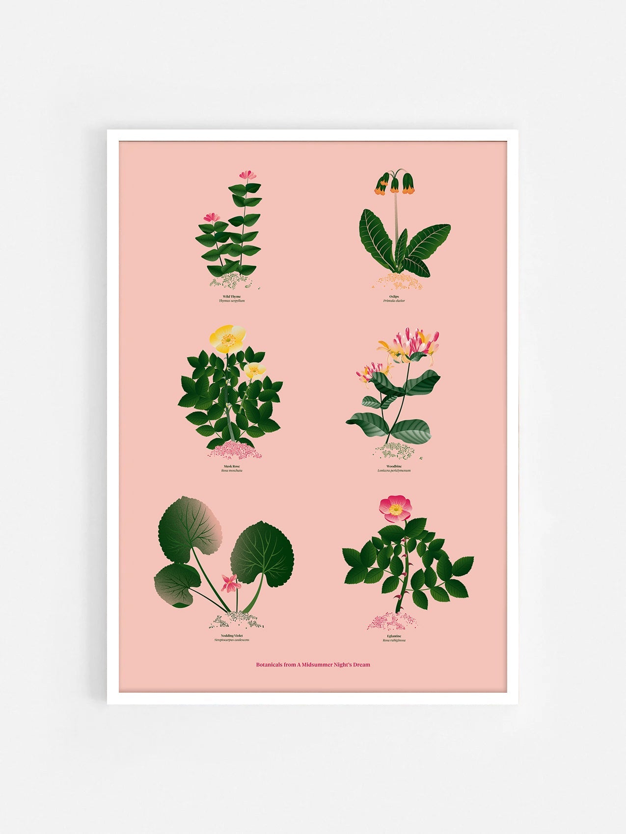 Floral art print 'The Forest's Flora' with forest green, saffron, and magenta hues, inspired by Shakespeare's woodland - White Frame.