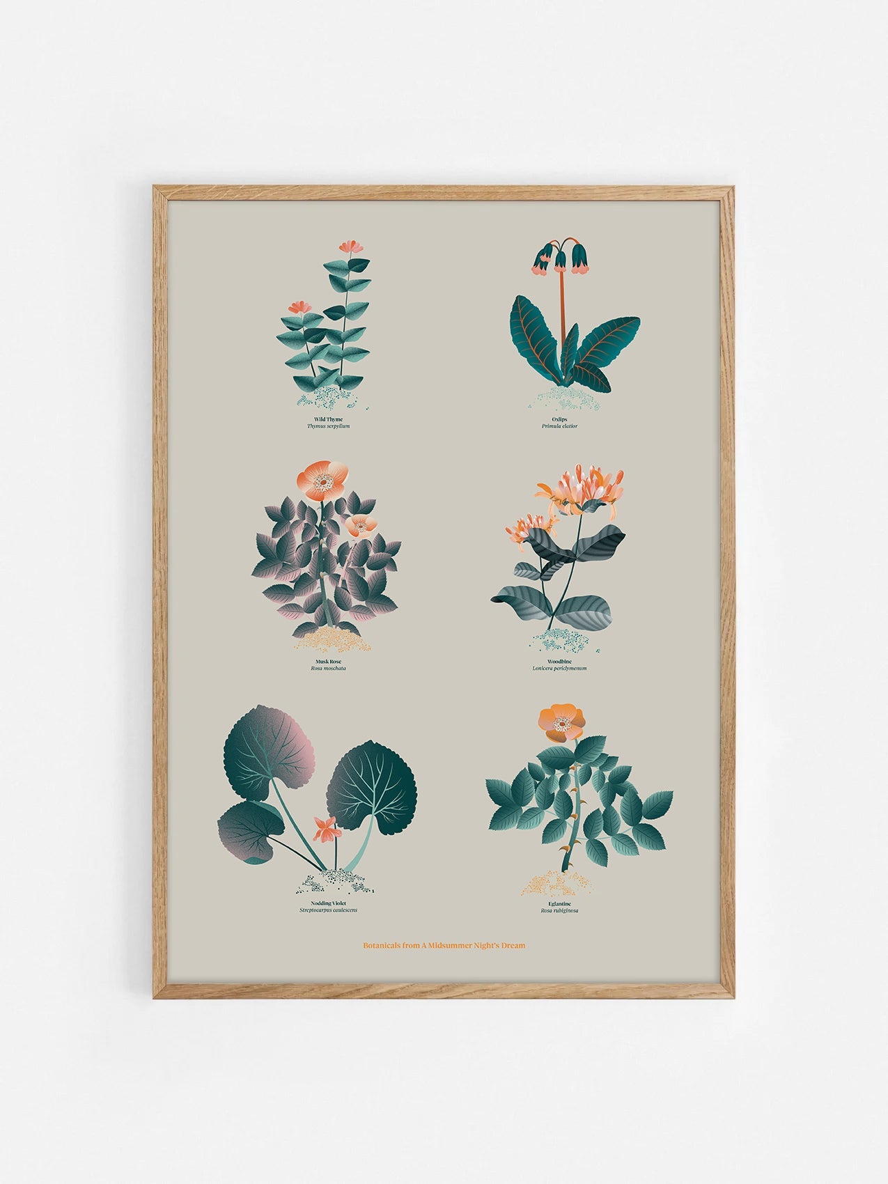 Floral art print 'The Forest's Flora' with teal, mandarin, and orange hues, inspired by Shakespeare's forest - Oak Frame.