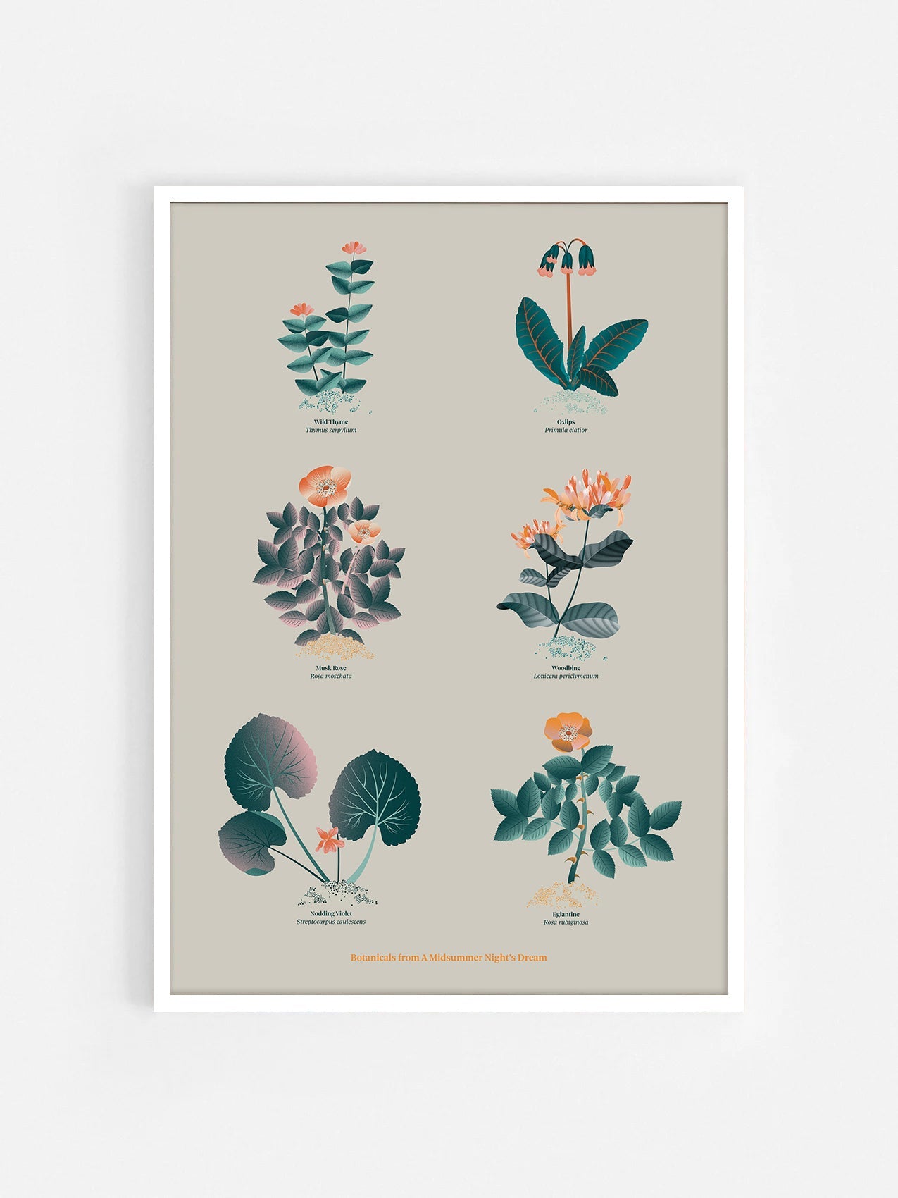 Floral art print 'The Forest's Flora' with teal, mandarin, and orange hues, inspired by Shakespeare's forest - White Frame.
