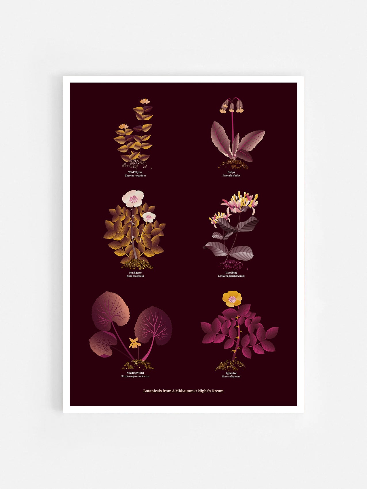 Floral art print 'The Forest's Flora' with aubergine, rose, and orange hues, inspired by Shakespeare's forest - White Frame