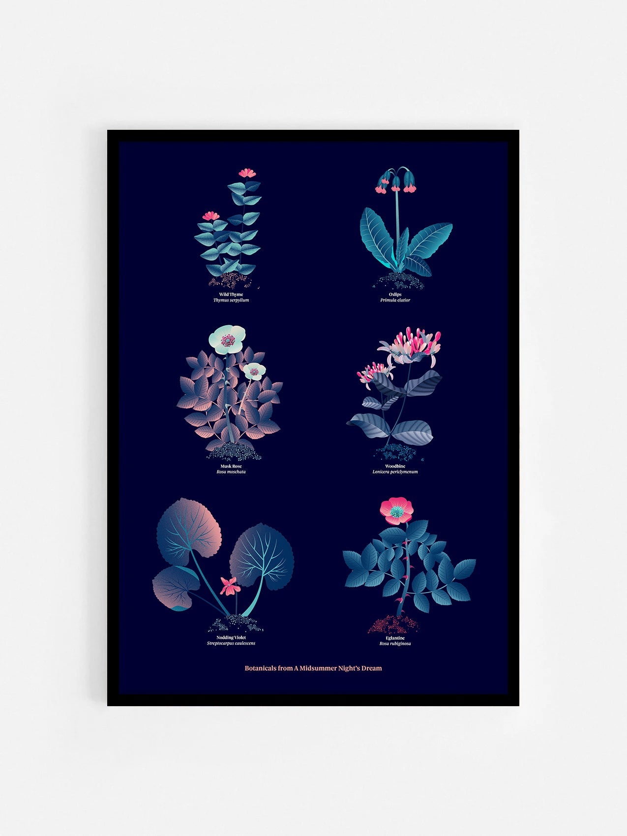 Floral art print 'The Forest's Flora' with ruby red, turquoise, and blue hues, inspired by Shakespeare's forest - Black Frame.