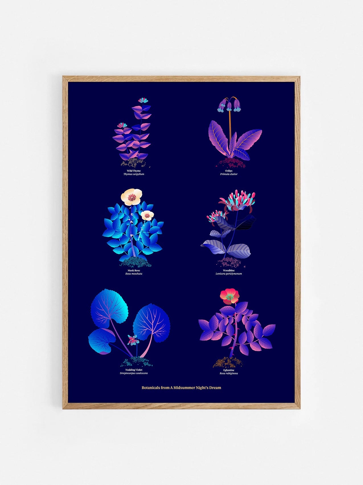 Floral art print 'The Forest's Flora' with electric blue, day-glow, and buttercup hues, inspired by Shakespeare's forest - Oak Frame.