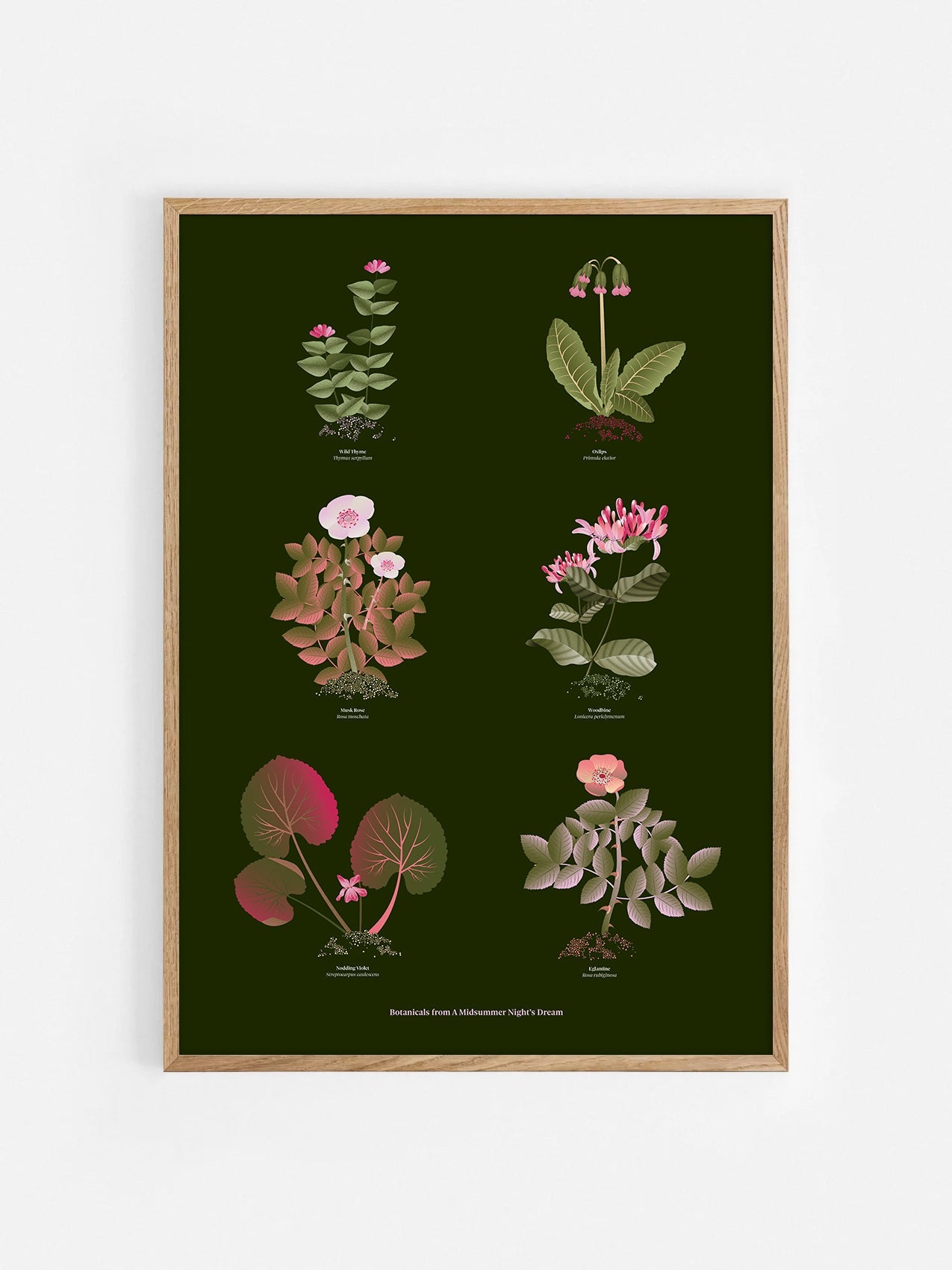 Floral art print 'The Forest's Flora' with olive, pink, and pomegranate hues, inspired by Shakespeare's forest - Oak Frame.