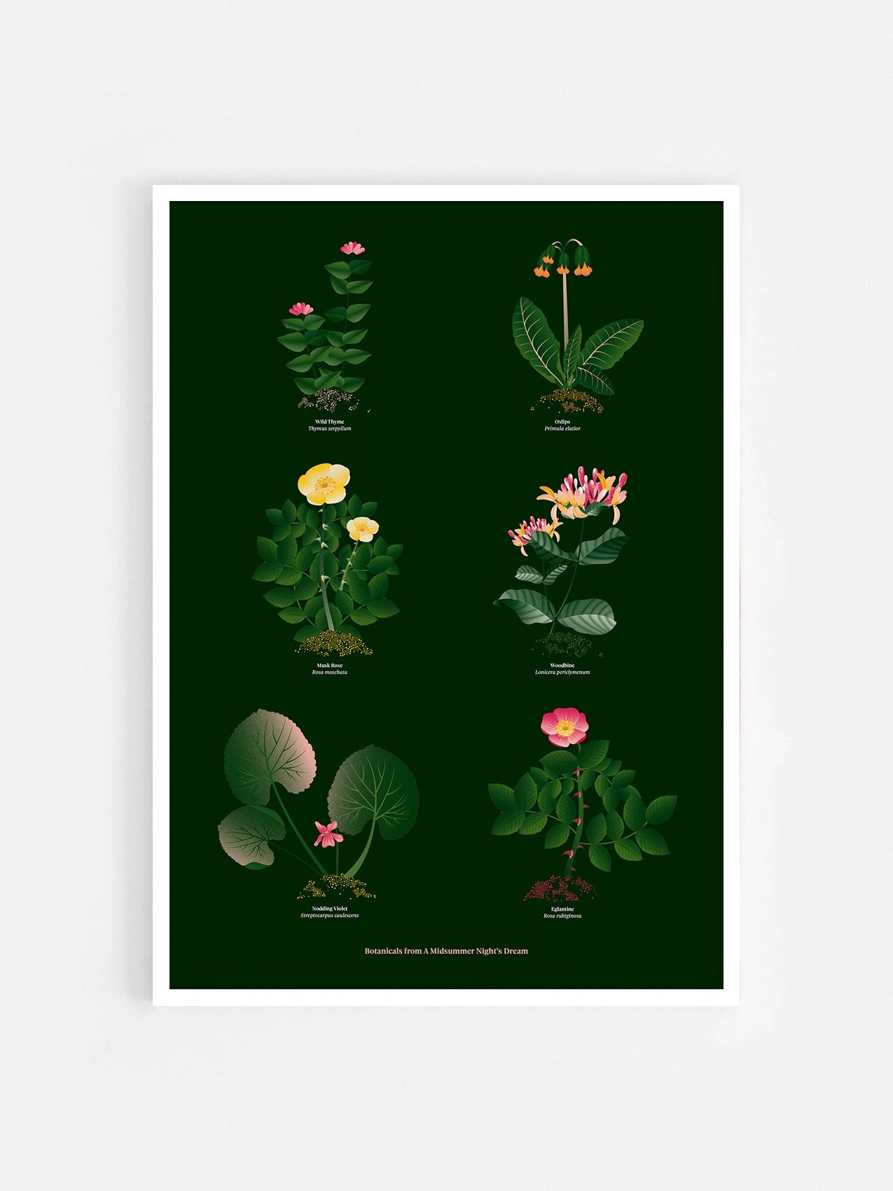 Floral art print 'The Forest's Flora' with forest green, saffron, and magenta hues, inspired by Shakespeare's forest - White Frame.