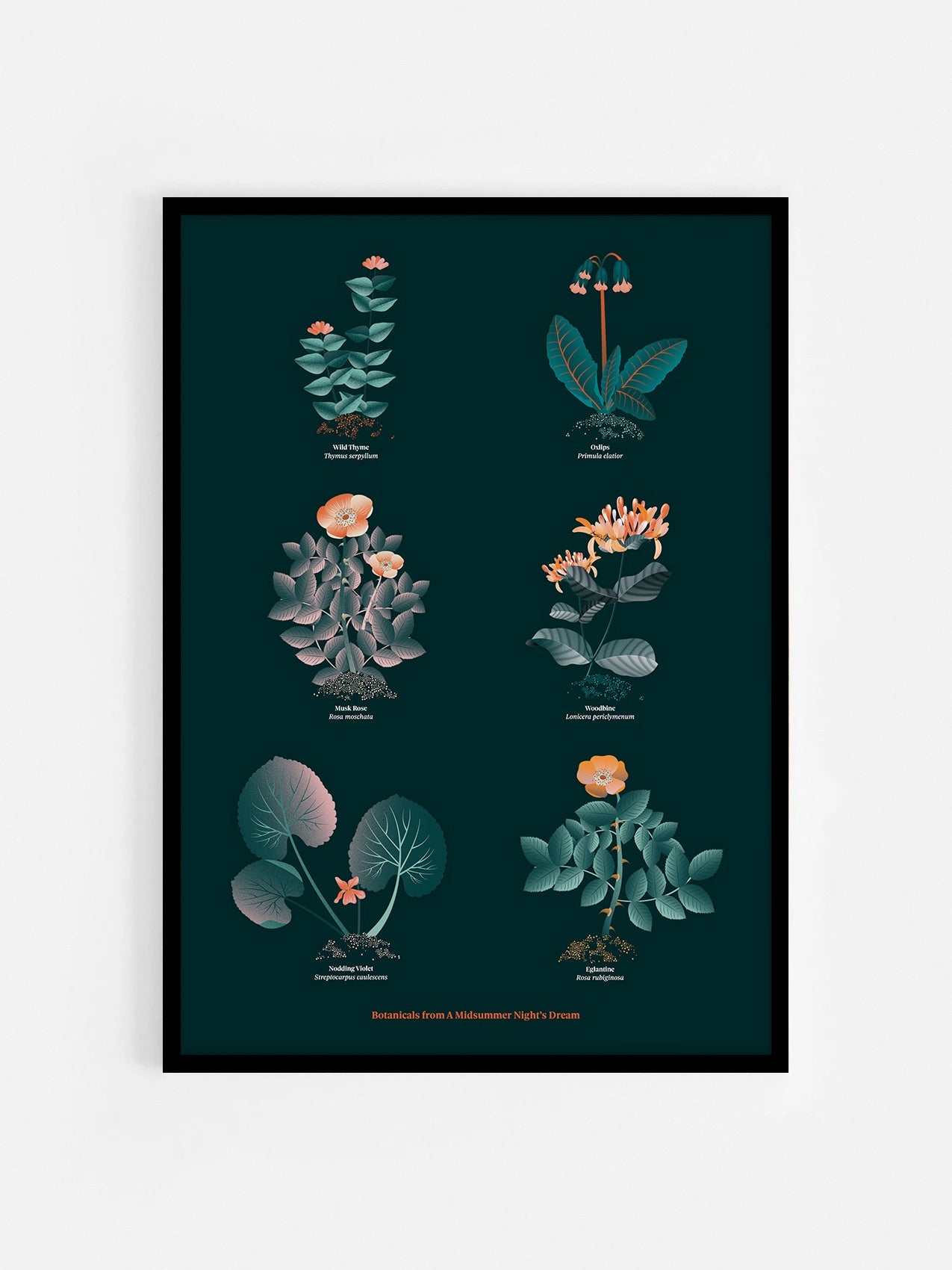 Floral art print 'The Forest's Flora' with teal, mandarin, and orange hues, inspired by Shakespeare's forest - Black Frame.