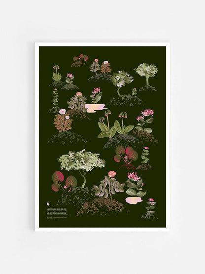 Floral art print 'Midsummer Forest' with olive, pink, and pomegranate hues, inspired by Shakespeare's woodland - White Frame.