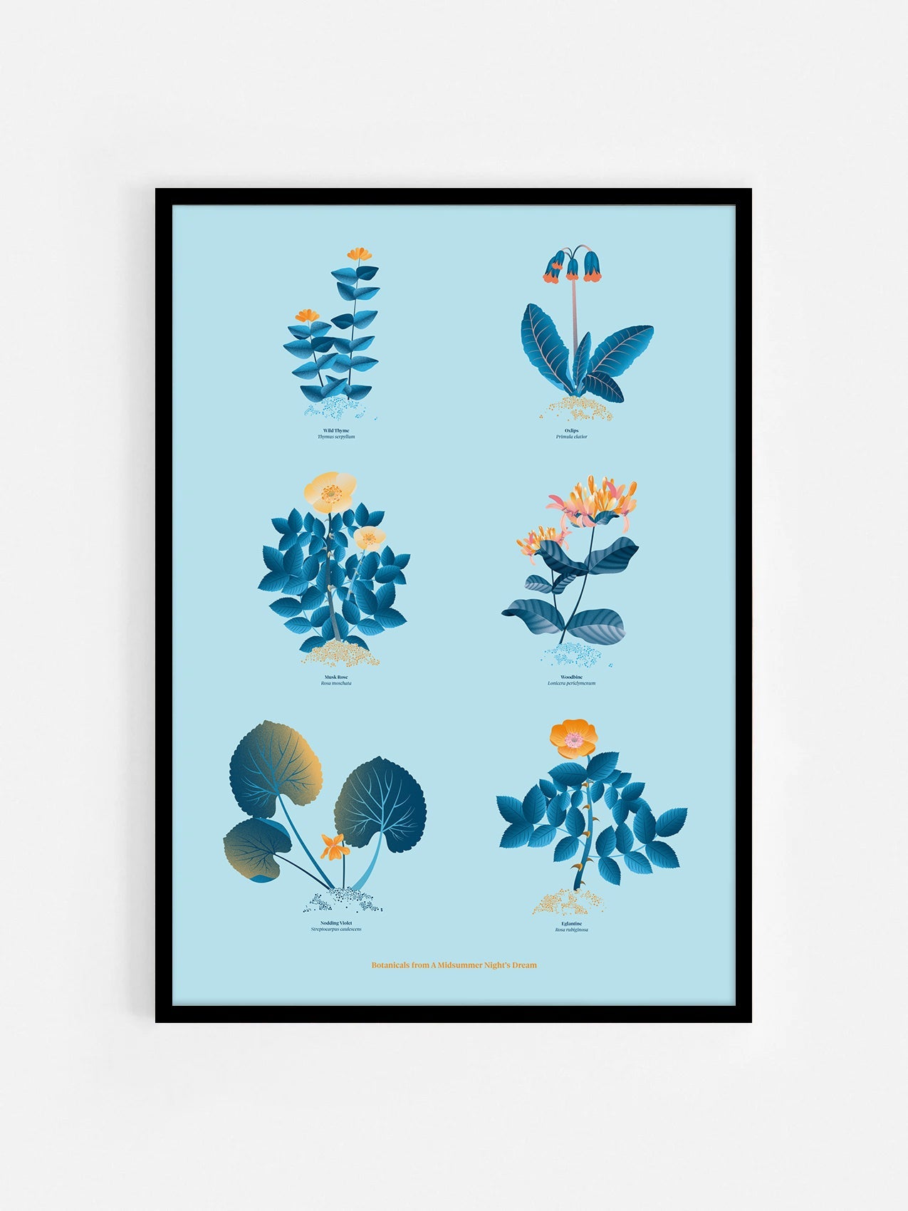 Floral art print 'The Forest's Flora' with blue, orange, and golden hues, inspired by Shakespeare's woodland - Black Frame.