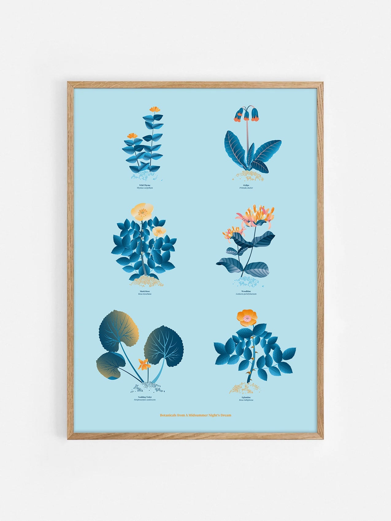 Floral art print 'The Forest's Flora' with blue, orange, and golden hues, inspired by Shakespeare's woodland - Oak Frame.