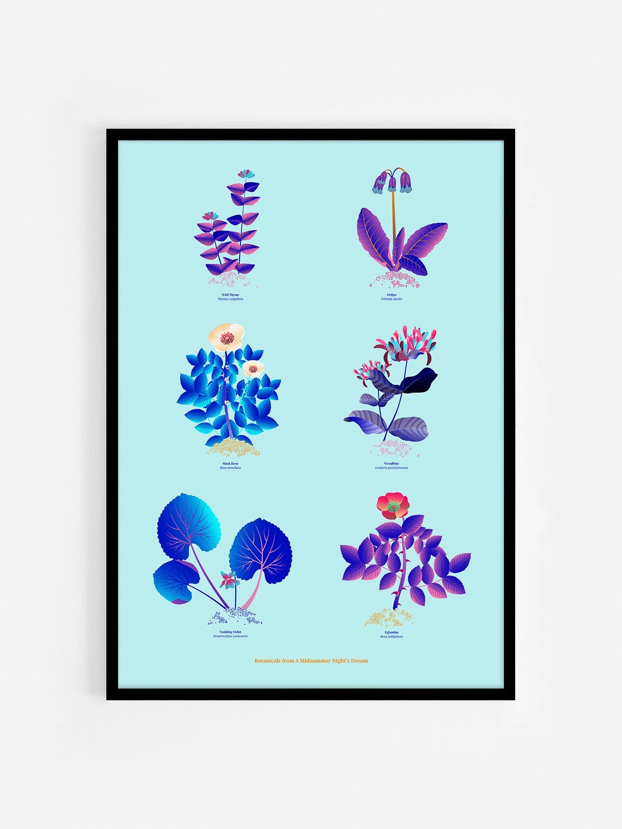 Floral art print 'The Forest's Flora' with electric blue, day-glow, and buttercup hues, inspired by Shakespeare's woodland - Black Frame.