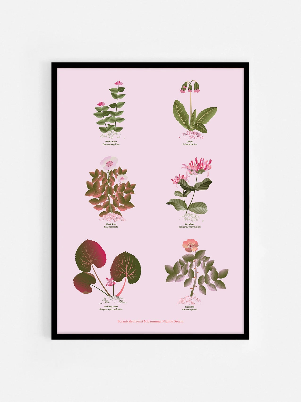 Floral art print 'The Forest's Flora' with olive, pink, and pomegranate hues, inspired by Shakespeare's forest - Black Frame.