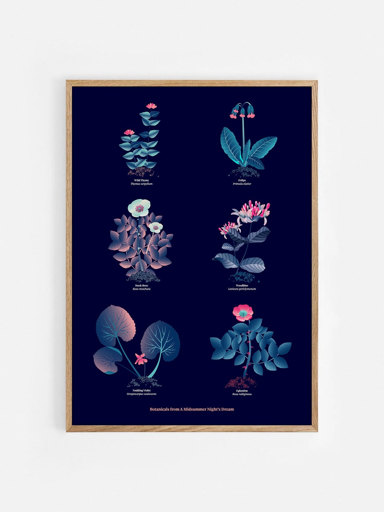 Floral art print 'The Forest's Flora' with ruby red, turquoise, and blue hues, inspired by Shakespeare's forest - Oak Frame.