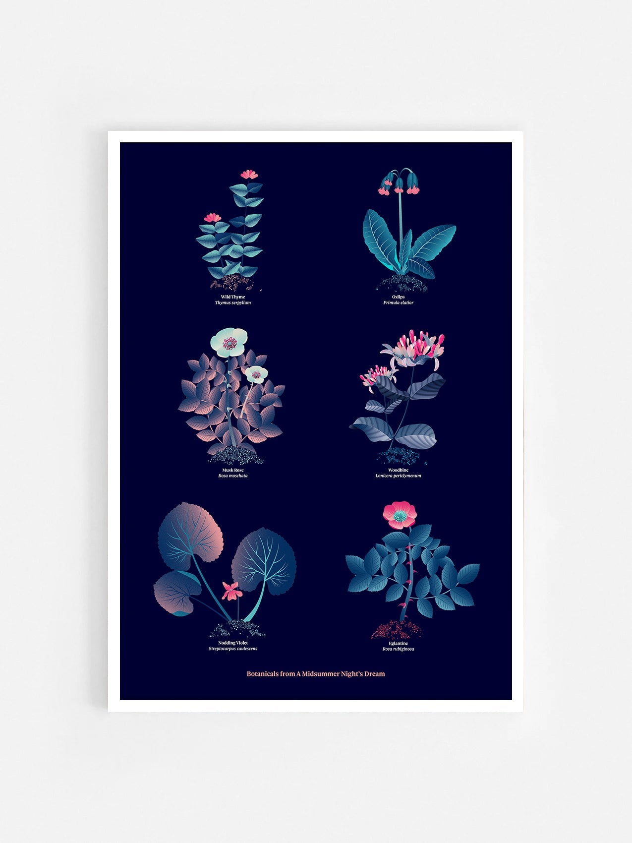 Floral art print 'The Forest's Flora' with ruby red, turquoise, and blue hues, inspired by Shakespeare's forest - White Frame.