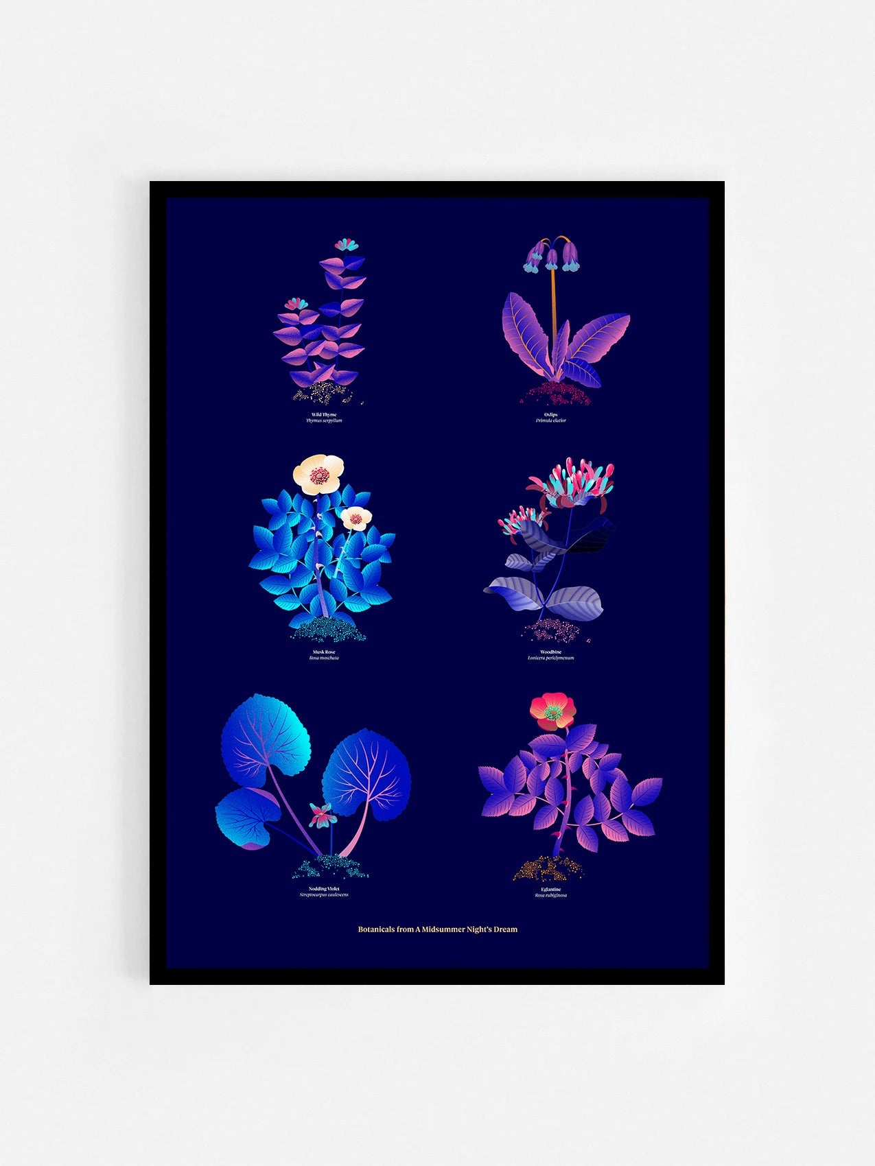 Floral art print 'The Forest's Flora' with electric blue, day-glow, and buttercup hues, inspired by Shakespeare's forest - Black Frame.