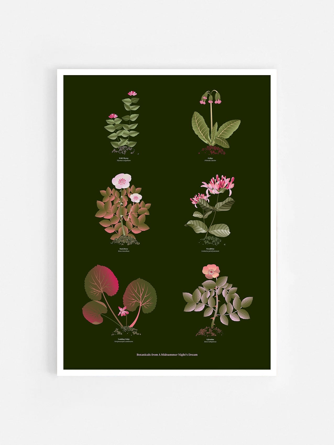 Floral art print 'The Forest's Flora' with olive, pink, and pomegranate hues, inspired by Shakespeare's forest - White Frame.