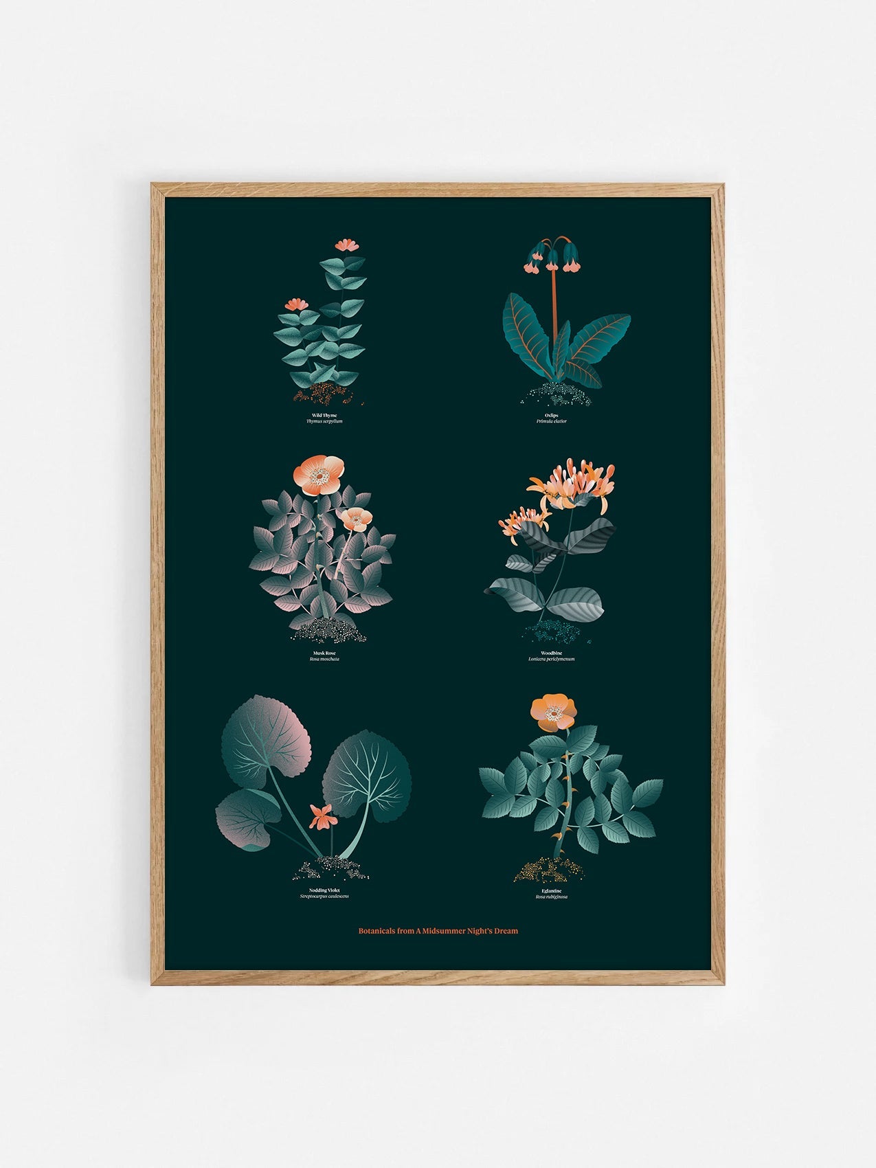 Floral art print 'The Forest's Flora' with teal, mandarin, and orange hues, inspired by Shakespeare's forest - Oak Frame.